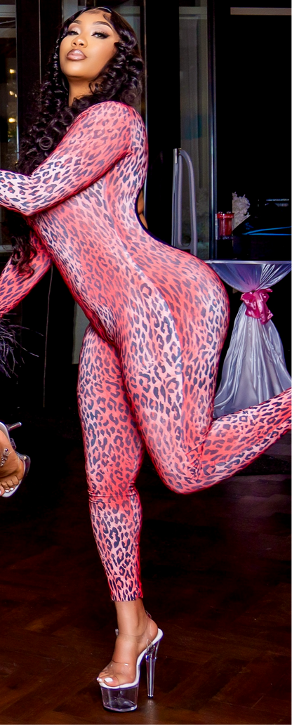 Kitty cat suit