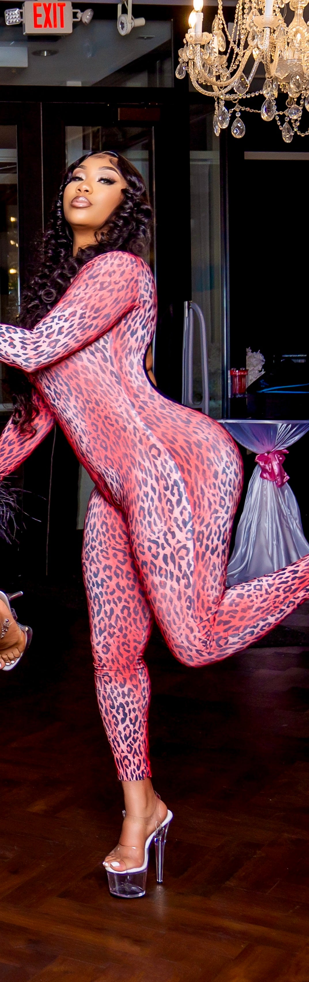 Kitty cat suit